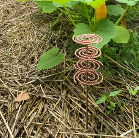 Metallic spiral object on dry grass