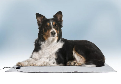 BioShield Pet Bed Floor Mat - USA Med Bed