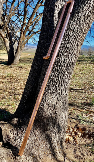 Wooden walking stick leaning against a tree in an outdoor setting