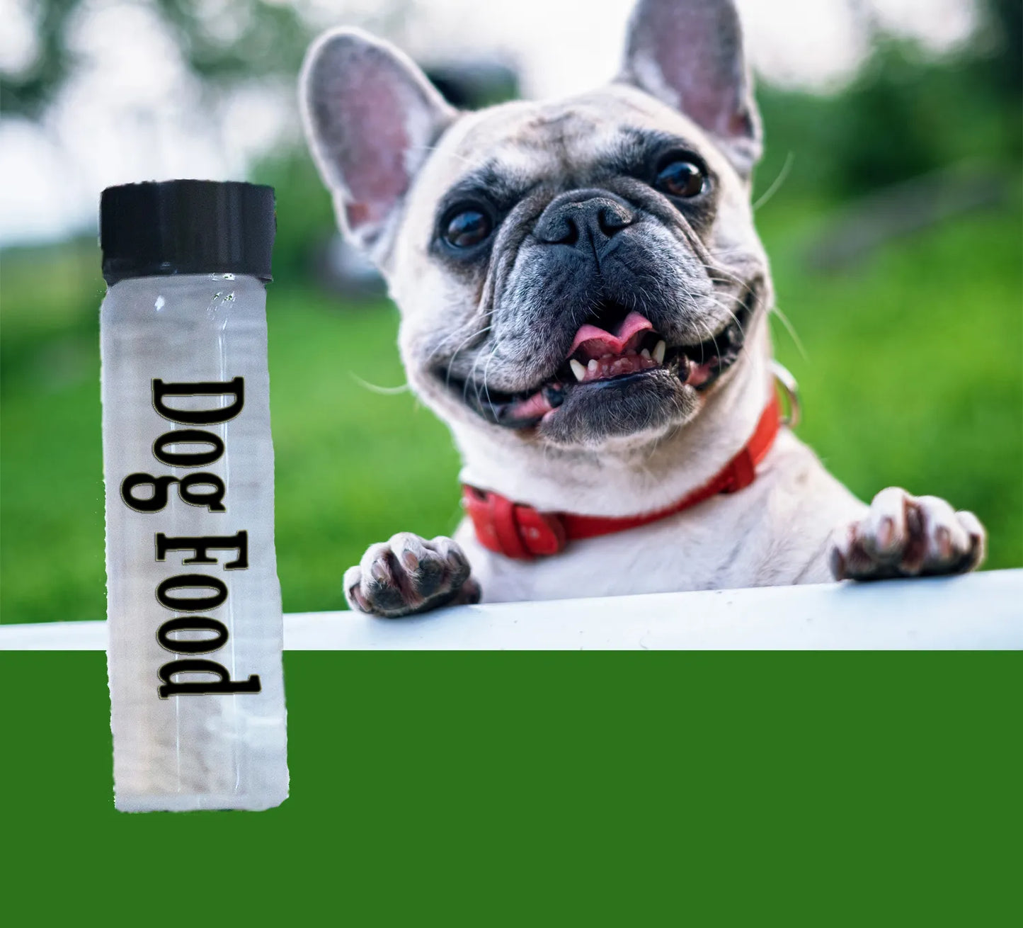 Dog Food Plasma Energy Water - USA Med Bed