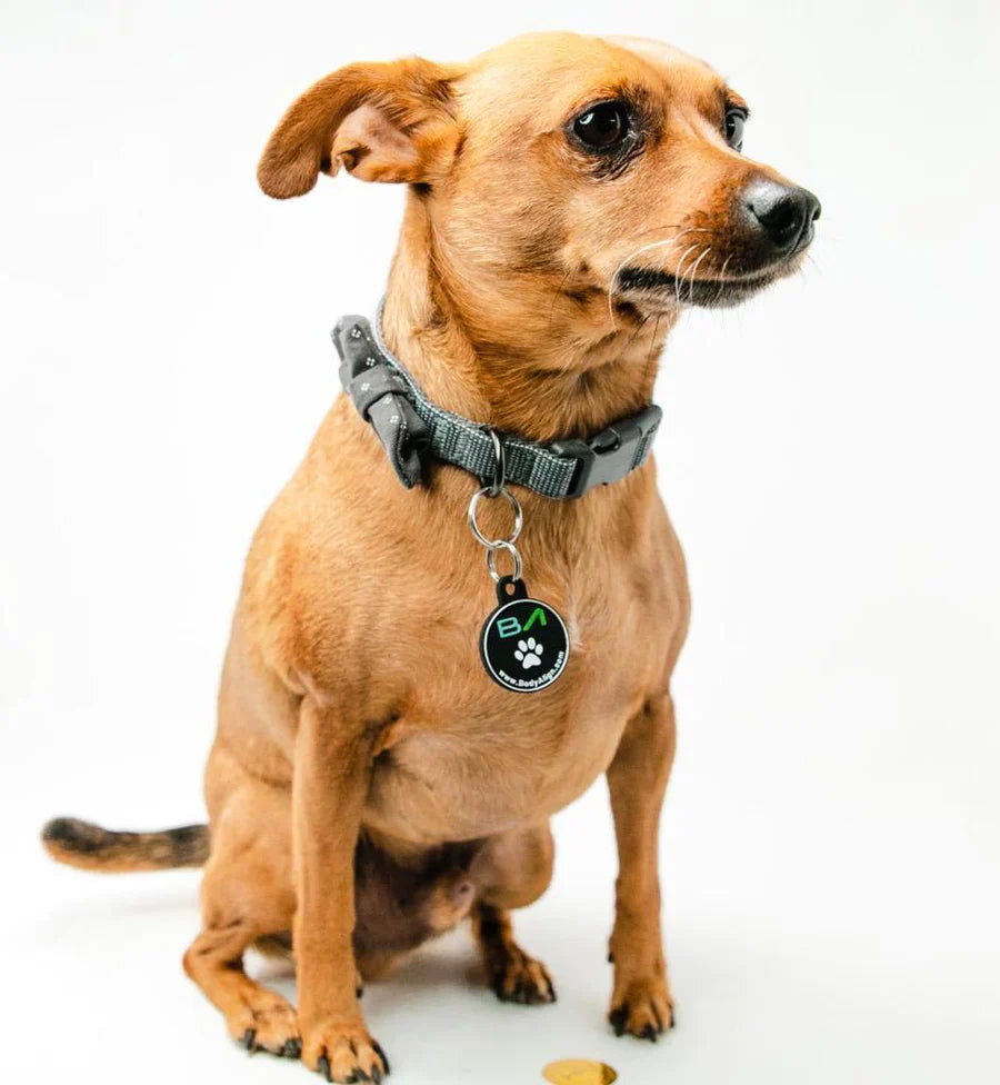 Universal Pet Wellness - USA Med Bed